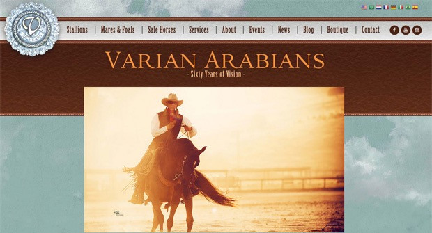 2016varian 2016varian
