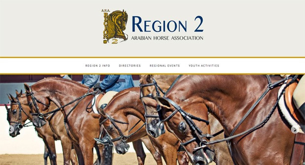2017region2 2017region2