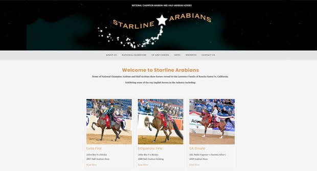 2018starline arabians 2018starline arabians