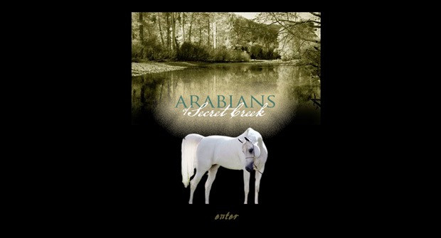 arabiansofsecretcreek arabiansofsecretcreek
