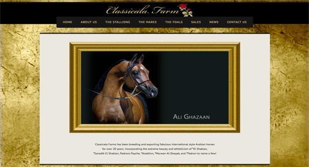 classicala farm classicala farm