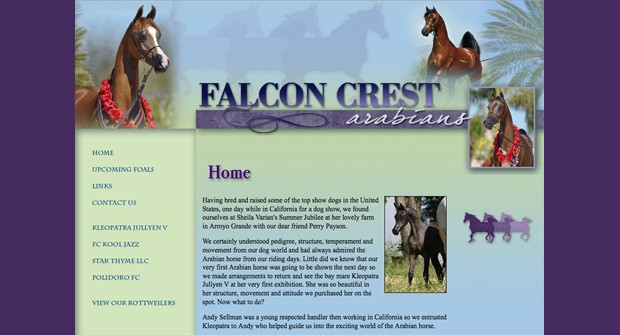 falconcrestarabians falconcrestarabians