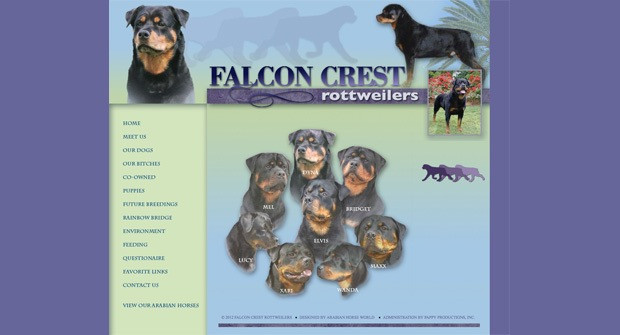 falconcrestrottweilers falconcrestrottweilers