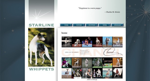 starlinewhippets starlinewhippets